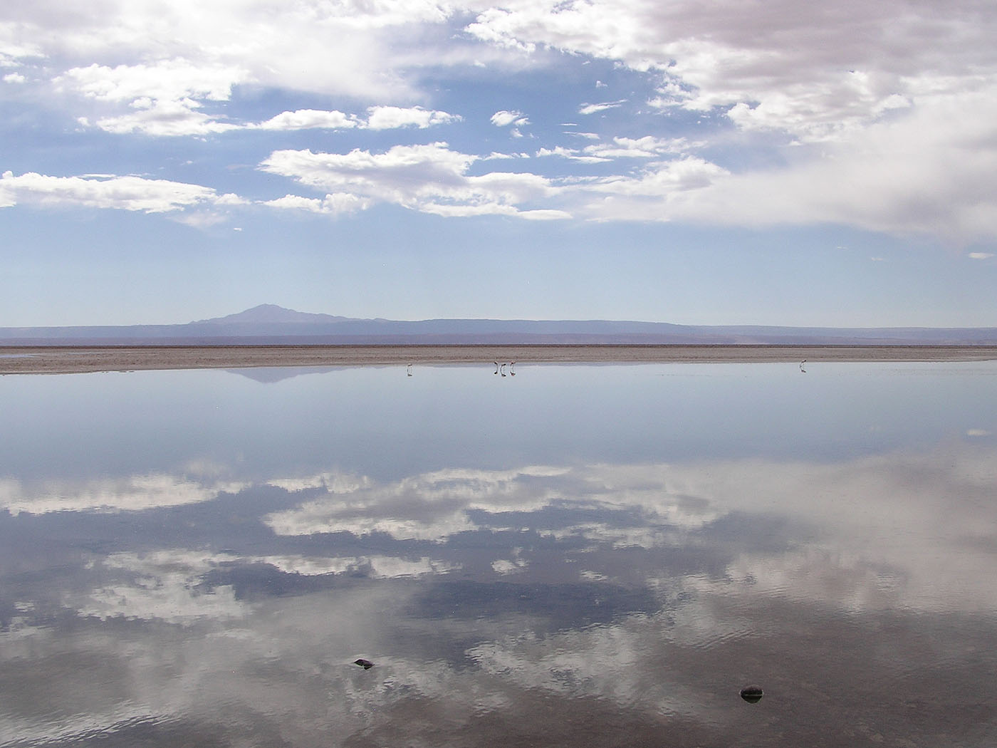 Laguna Chaxa, San Pedro de Atacama, Chile